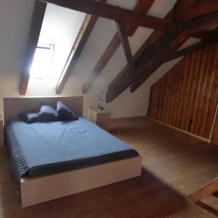 Mittelalterliche Dg-wohnung In Mannhheim Lejlighed *