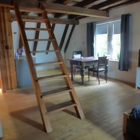 Mittelalterliche Dg-wohnung In Mannhheim Lejlighed *