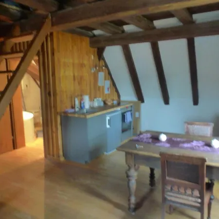 Mittelalterliche Dg-wohnung In Mannhheim *