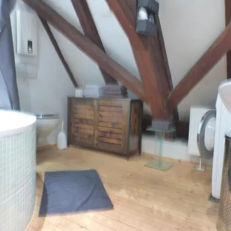Mittelalterliche Dg-wohnung In Mannhheim * MHG