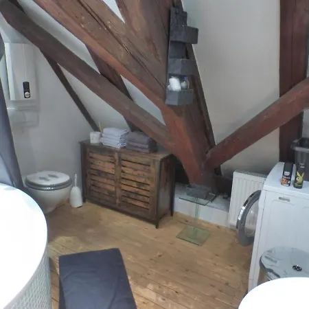 Mittelalterliche Dg-wohnung In Mannhheim MHG